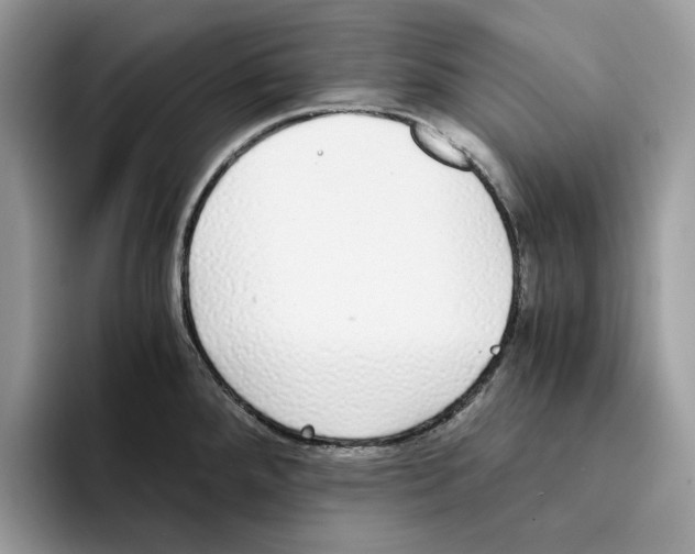 X0000094321288200711301201