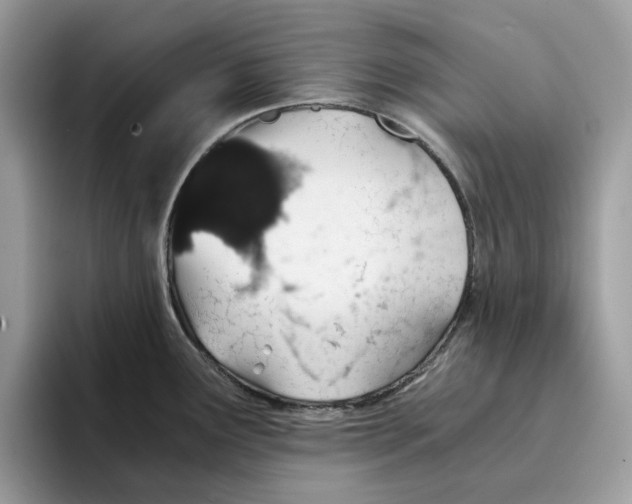 X0000094321291200711301201