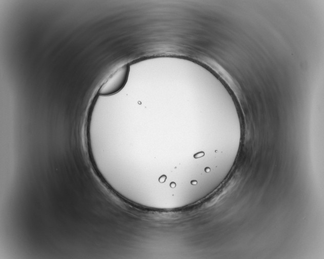X0000094321293200711301201