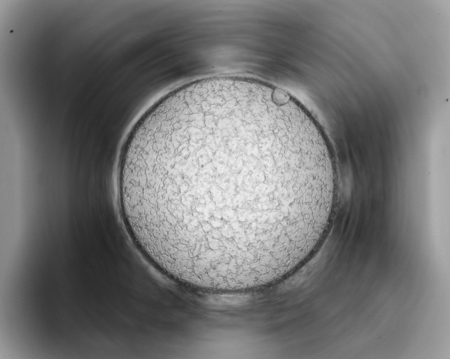 X0000094321294200711301201