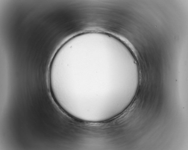 X0000094321295200711301201