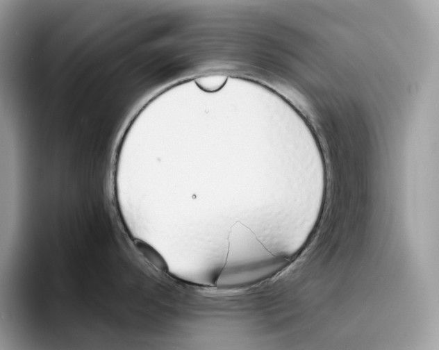 X0000094321296200711301201