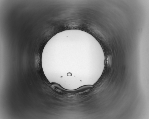 X0000094321299200711301200