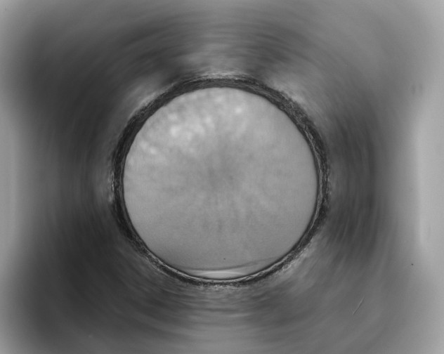 X0000094321306200711301200