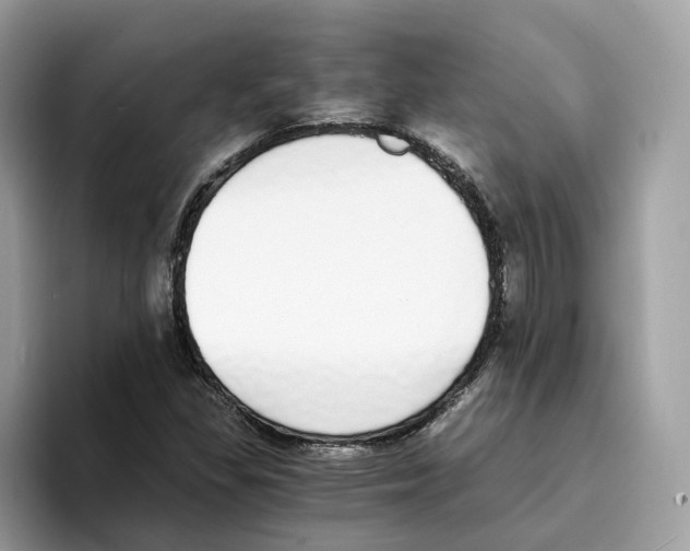 X0000094321309200711301200