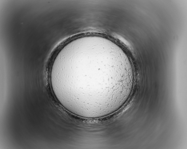 X0000094321310200711301200