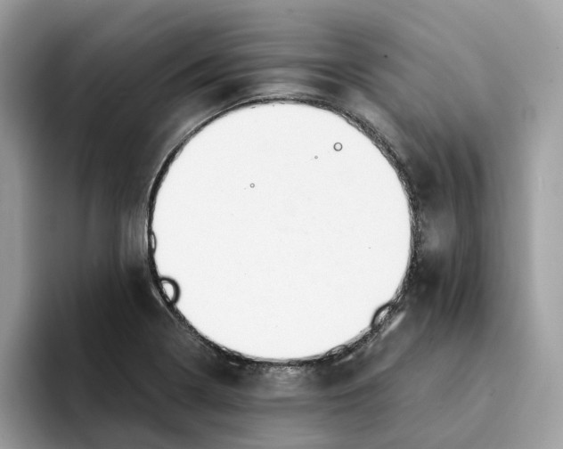 X0000094321322200711301200