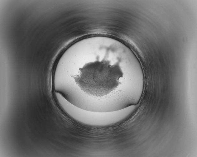 X0000094321323200711301200