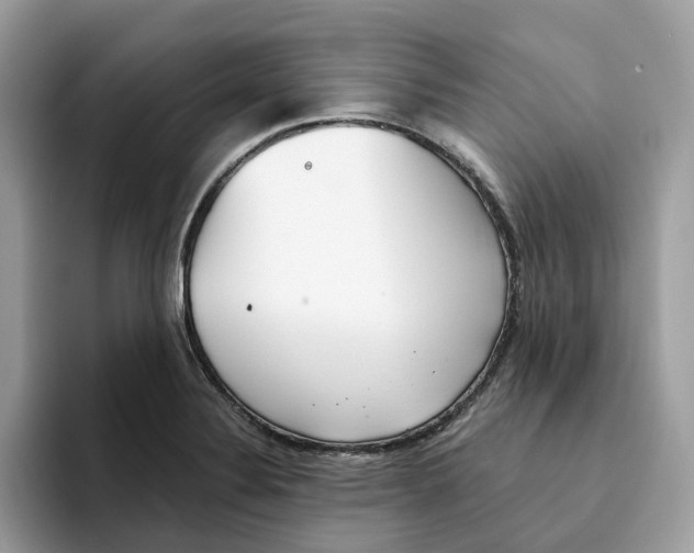 X0000094321324200711301200