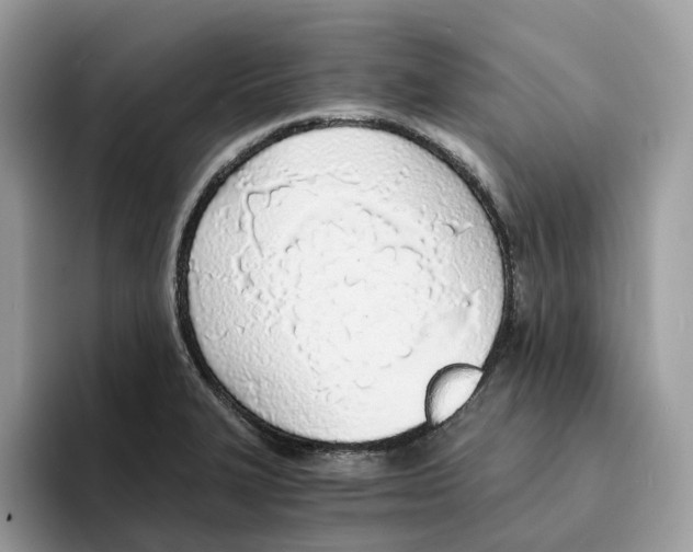 X0000094321327200711301200