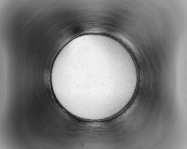 X0000094321329200711301200