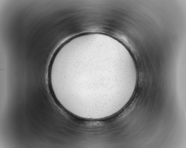 X0000094321331200711301200
