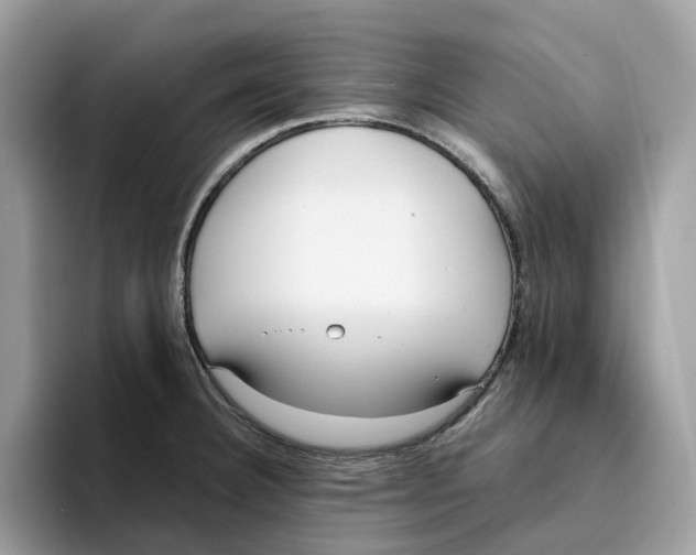 X0000094321332200711301200