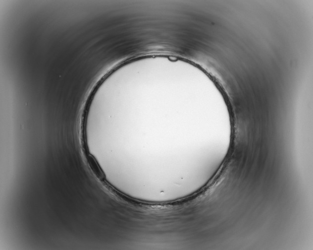 X0000094321333200711301200