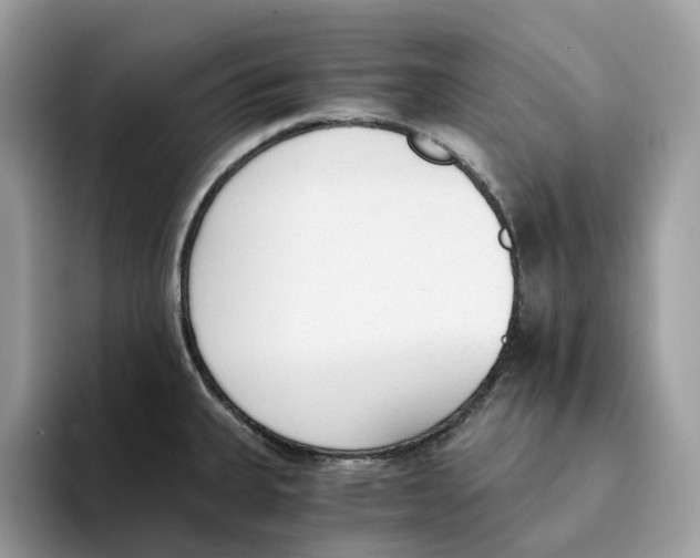 X0000094321335200711301201