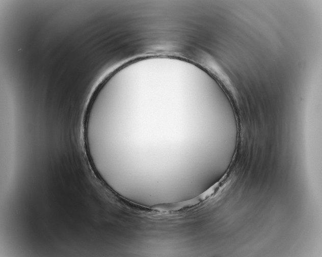 X0000094321336200711301201