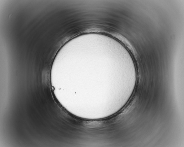 X0000094321337200711301201