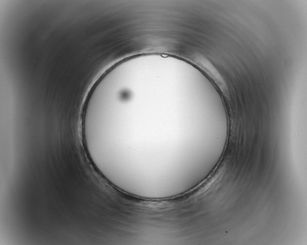 X0000094321340200711301201