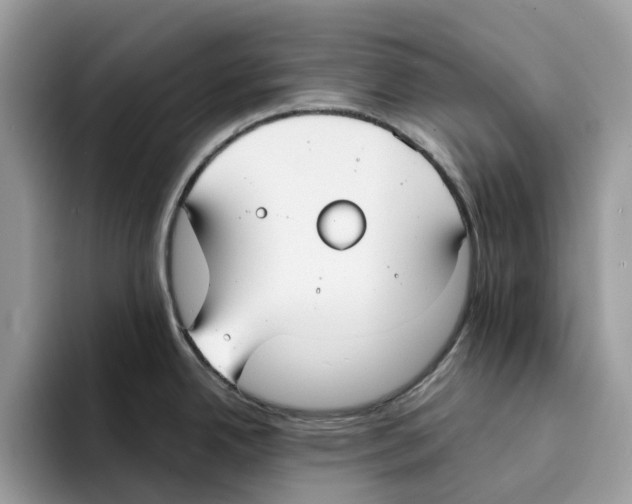 X0000094321342200711301201