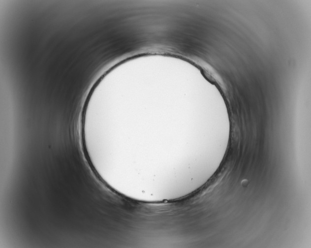 X0000094321343200711301201