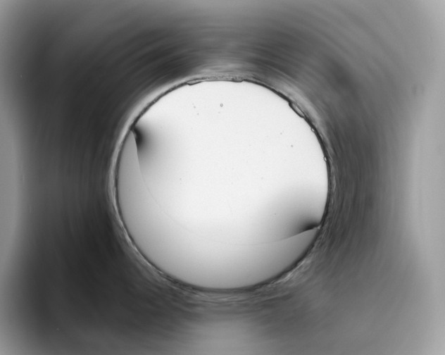 X0000094321344200711301201