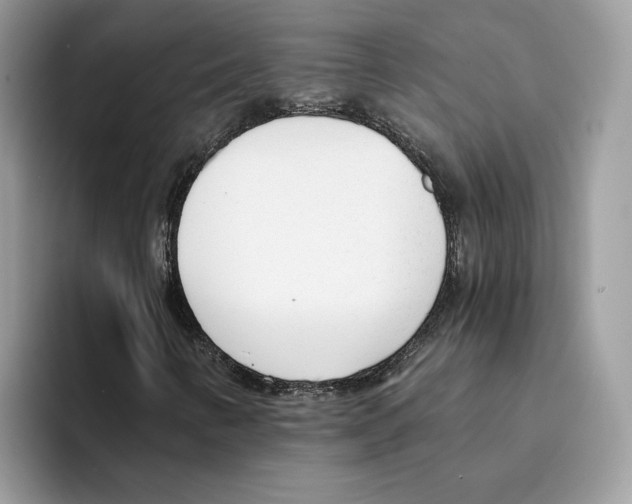 X0000094321346200711301200