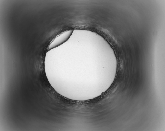 X0000094321350200711301200