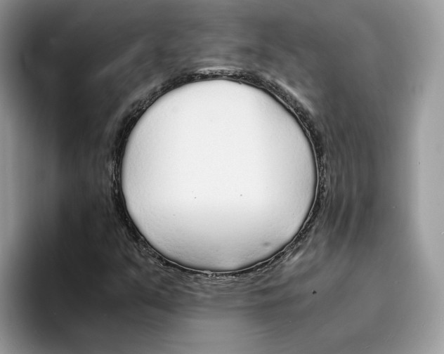 X0000094321351200711301200