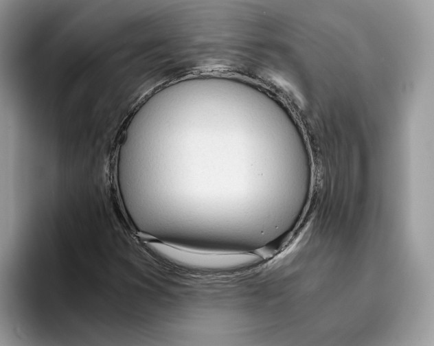 X0000094321353200711301200