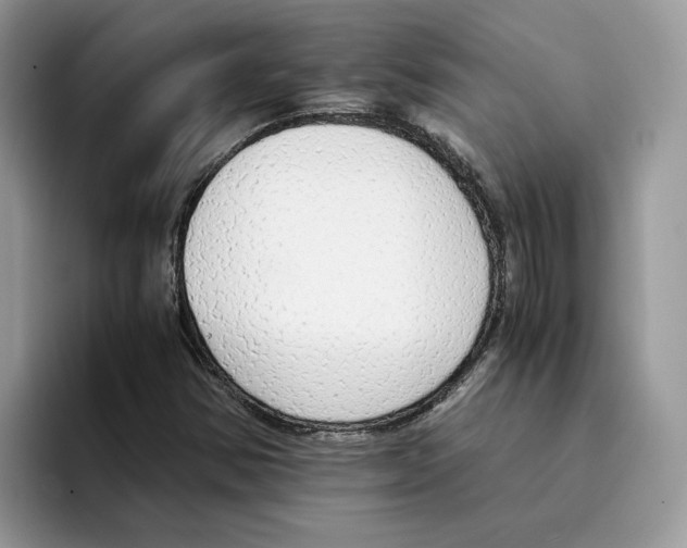 X0000094321354200711301200