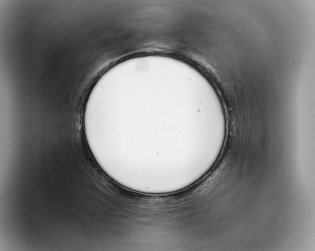 X0000094321355200711301200