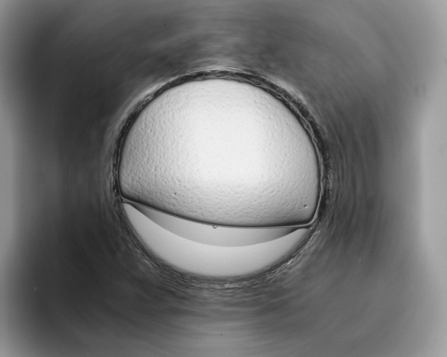 X0000094321359200711301200