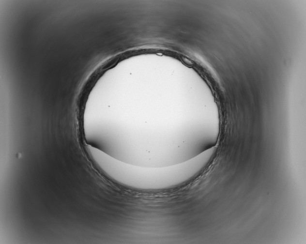 X0000094321360200711301200