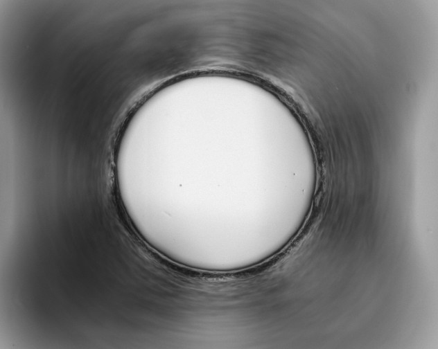 X0000094321363200711301200