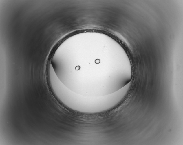 X0000094321364200711301200