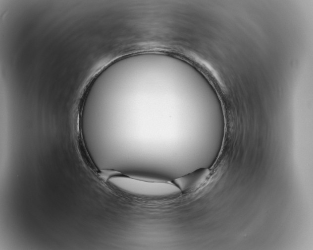 X0000094321365200711301200