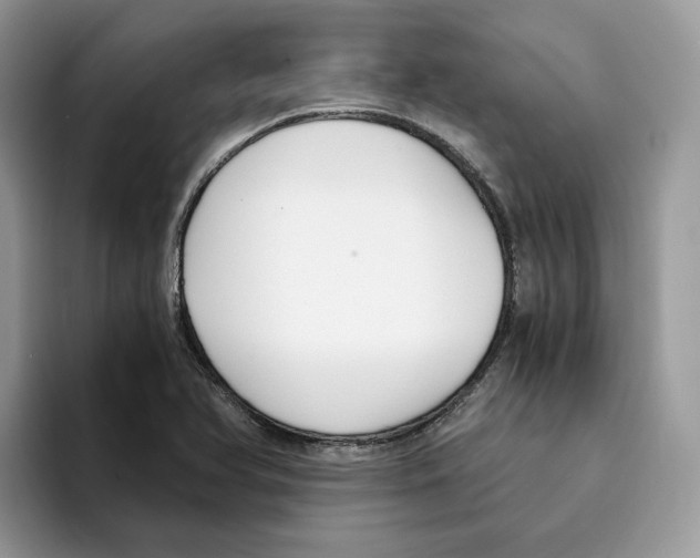 X0000094321366200711301200
