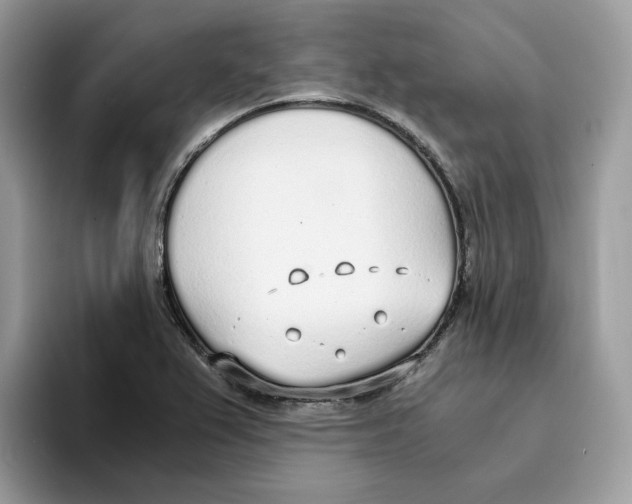 X0000094321367200711301200