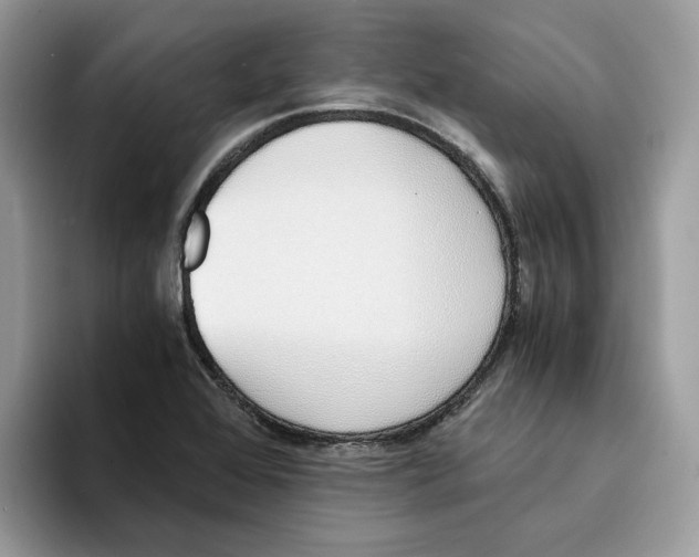 X0000094321368200711301200