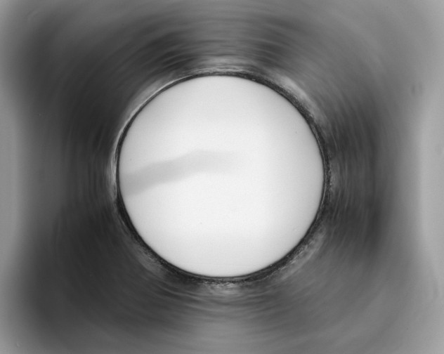 X0000094321370200711301200