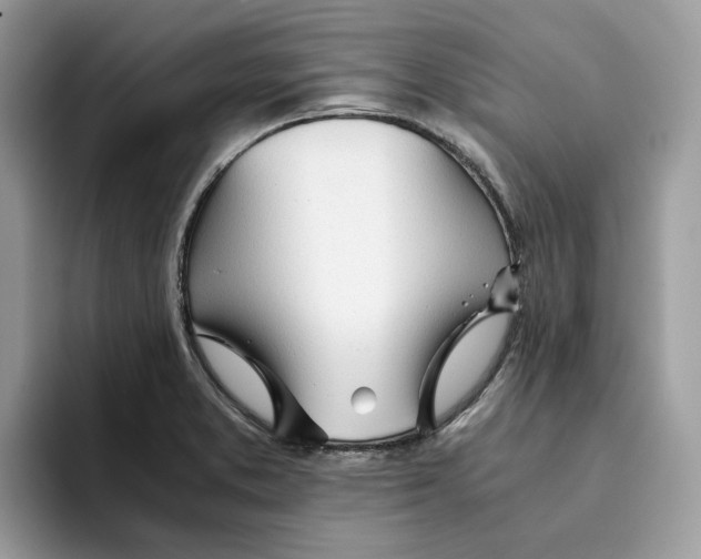 X0000094321373200711301200