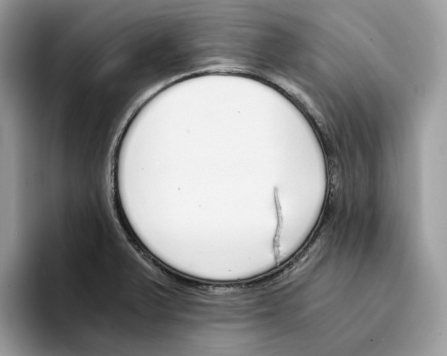 X0000094321375200711301200