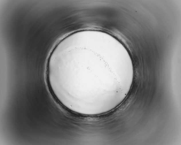 X0000094321379200711301200