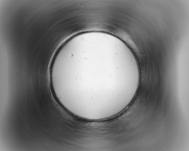 X0000094321380200711301200