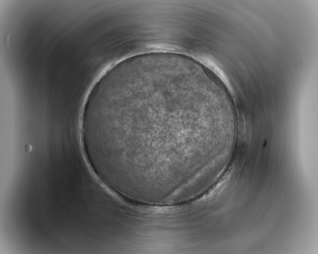 X0000094321381200711301200