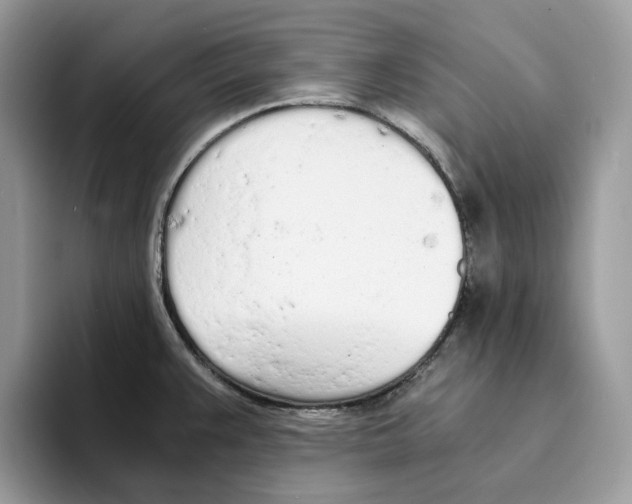 X0000094321383200711301200