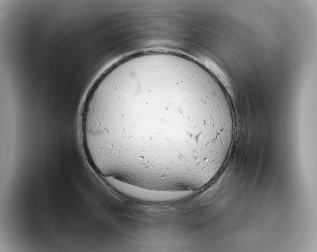 X0000094321384200711301159