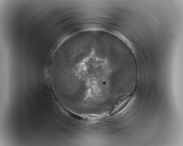 X0000094321385200711301159
