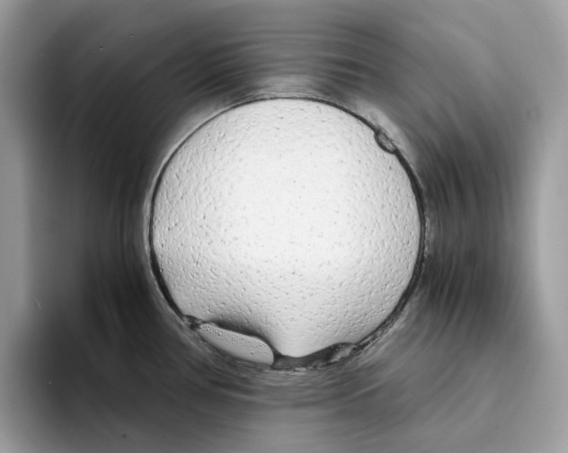 X0000094321386200711301159