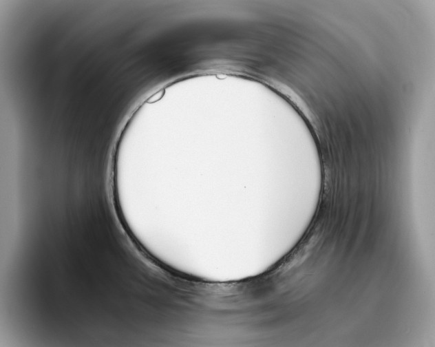 X0000094321387200711301159